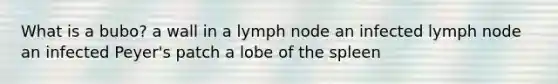 What is a bubo? a wall in a lymph node an infected lymph node an infected Peyer's patch a lobe of the spleen