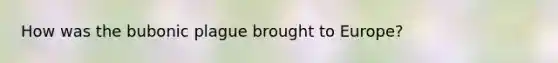 How was the bubonic plague brought to Europe?