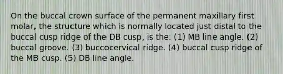 On the buccal crown surface of the permanent maxillary first molar, the structure which is normally located just distal to the buccal cusp ridge of the DB cusp, is the: (1) MB line angle. (2) buccal groove. (3) buccocervical ridge. (4) buccal cusp ridge of the MB cusp. (5) DB line angle.