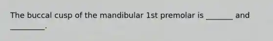 The buccal cusp of the mandibular 1st premolar is _______ and _________.