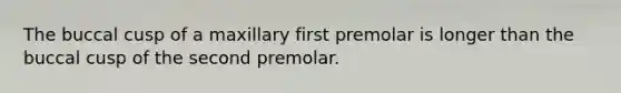 The buccal cusp of a maxillary first premolar is longer than the buccal cusp of the second premolar.