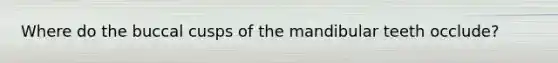 Where do the buccal cusps of the mandibular teeth occlude?