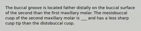 The buccal groove is located father distally on the buccal surface of the second than the first maxillary molar. The mesiobuccal cusp of the second maxillary molar is ___ and has a less sharp cusp tip than the distobuccal cusp.