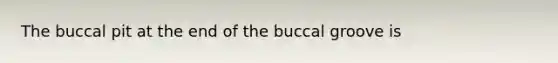 The buccal pit at the end of the buccal groove is