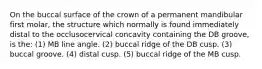 On the buccal surface of the crown of a permanent mandibular first molar, the structure which normally is found immediately distal to the occlusocervical concavity containing the DB groove, is the: (1) MB line angle. (2) buccal ridge of the DB cusp. (3) buccal groove. (4) distal cusp. (5) buccal ridge of the MB cusp.