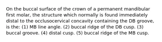 On the buccal surface of the crown of a permanent mandibular first molar, the structure which normally is found immediately distal to the occlusocervical concavity containing the DB groove, is the: (1) MB line angle. (2) buccal ridge of the DB cusp. (3) buccal groove. (4) distal cusp. (5) buccal ridge of the MB cusp.