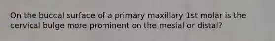 On the buccal surface of a primary maxillary 1st molar is the cervical bulge more prominent on the mesial or distal?