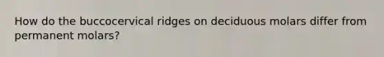 How do the buccocervical ridges on deciduous molars differ from permanent molars?