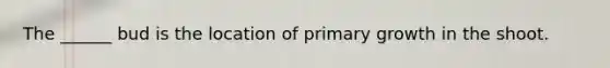 The ______ bud is the location of primary growth in the shoot.