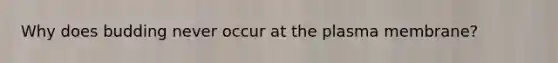 Why does budding never occur at the plasma membrane?