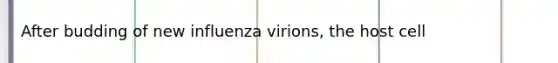 After budding of new influenza virions, the host cell