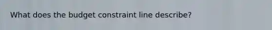 What does the budget constraint line describe?