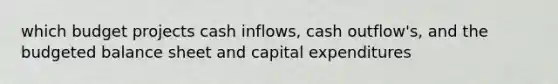 which budget projects cash inflows, cash outflow's, and the budgeted balance sheet and capital expenditures