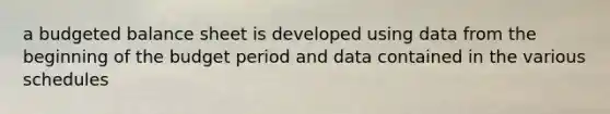 a budgeted balance sheet is developed using data from the beginning of the budget period and data contained in the various schedules