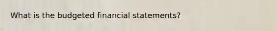 What is the budgeted financial statements?