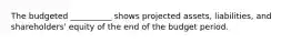 The budgeted __________ shows projected assets, liabilities, and shareholders' equity of the end of the budget period.