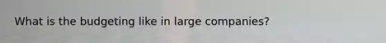 What is the budgeting like in large companies?