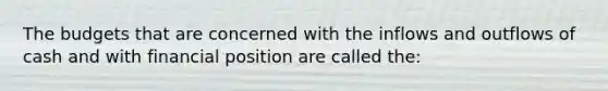 The budgets that are concerned with the inflows and outflows of cash and with financial position are called the: