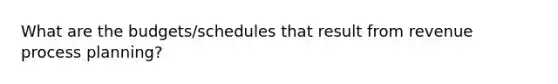 What are the budgets/schedules that result from revenue process planning?