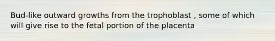 Bud-like outward growths from the trophoblast , some of which will give rise to the fetal portion of the placenta