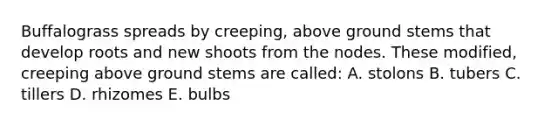 Buffalograss spreads by creeping, above ground stems that develop roots and new shoots from the nodes. These modified, creeping above ground stems are called: A. stolons B. tubers C. tillers D. rhizomes E. bulbs