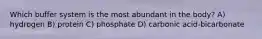 Which buffer system is the most abundant in the body? A) hydrogen B) protein C) phosphate D) carbonic acid-bicarbonate