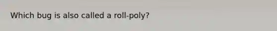 Which bug is also called a roll-poly?