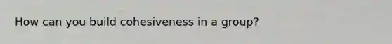 How can you build cohesiveness in a group?