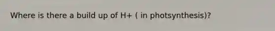 Where is there a build up of H+ ( in photsynthesis)?