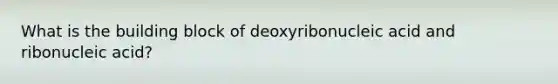 What is the building block of deoxyribonucleic acid and ribonucleic acid?