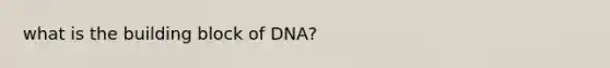 what is the building block of DNA?