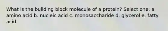 What is the building block molecule of a protein? Select one: a. amino acid b. nucleic acid c. monosaccharide d. glycerol e. fatty acid