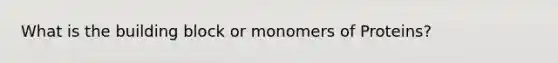 What is the building block or monomers of Proteins?