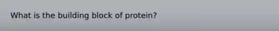 What is the building block of protein?