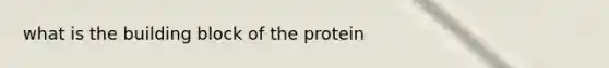 what is the building block of the protein