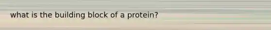 what is the building block of a protein?