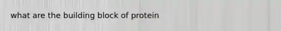 what are the building block of protein