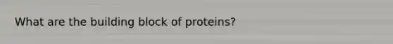 What are the building block of proteins?