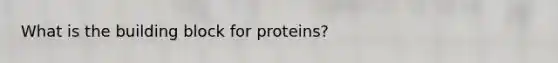 What is the building block for proteins?