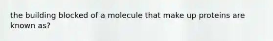 the building blocked of a molecule that make up proteins are known as?