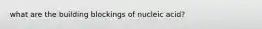 what are the building blockings of nucleic acid?