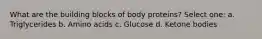 What are the building blocks of body proteins? Select one: a. Triglycerides b. Amino acids c. Glucose d. Ketone bodies