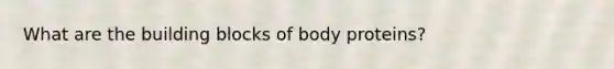 What are the building blocks of body proteins?