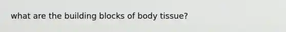 what are the building blocks of body tissue?