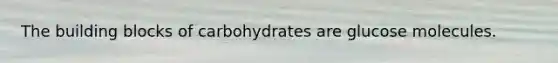 The building blocks of carbohydrates are glucose molecules.