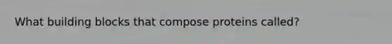 What building blocks that compose proteins called?