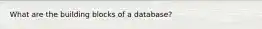 What are the building blocks of a database?