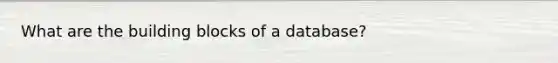 What are the building blocks of a database?