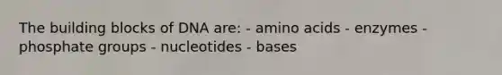 The building blocks of DNA are: - amino acids - enzymes - phosphate groups - nucleotides - bases