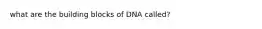 what are the building blocks of DNA called?